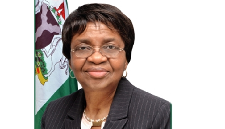 The Director General, NAFDAC -  Prof. Mojisola Adeyeye